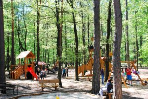 Detské lesné ihrisko KIOSK na Brezine