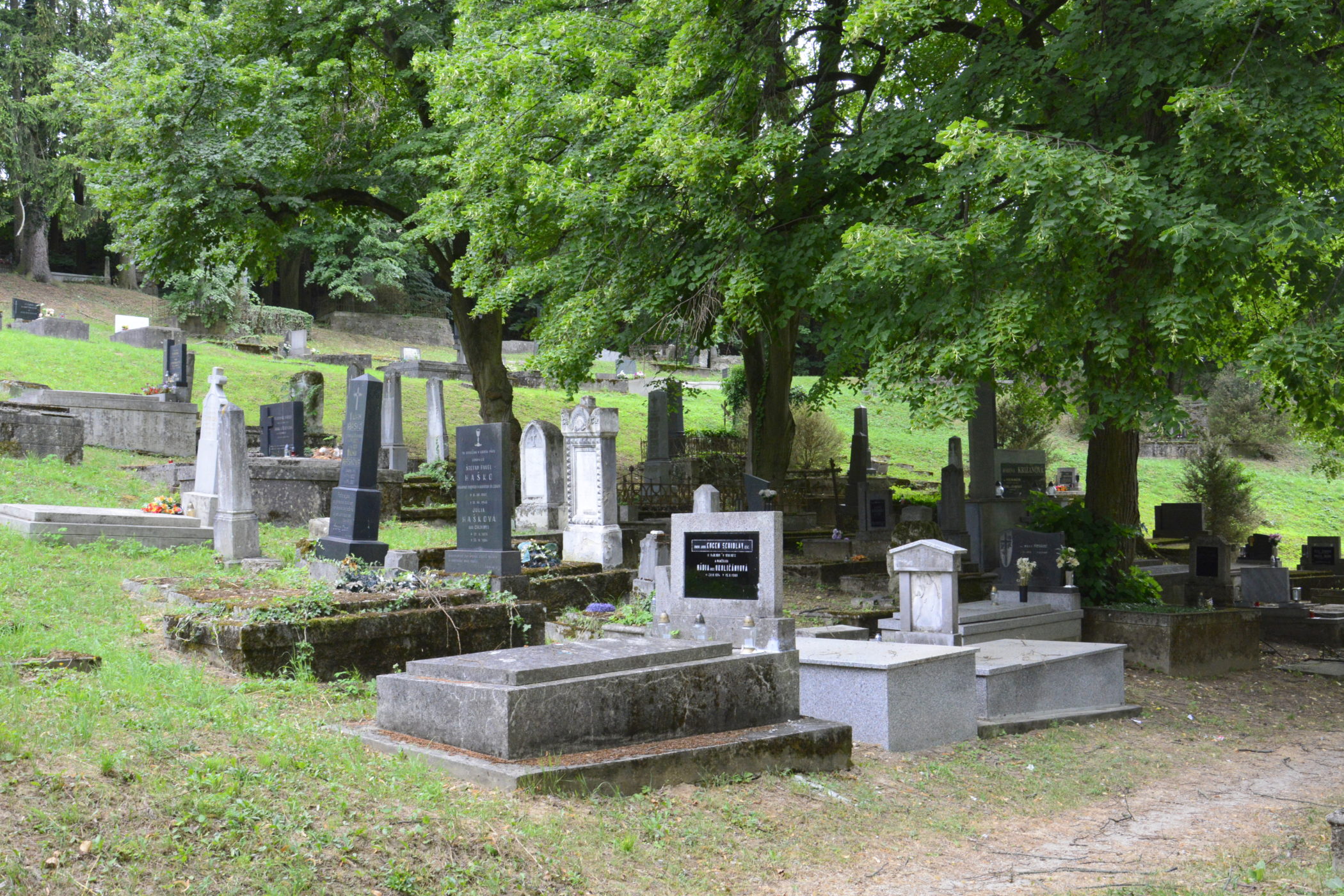 Evanjelický cintorín v Trenčíne