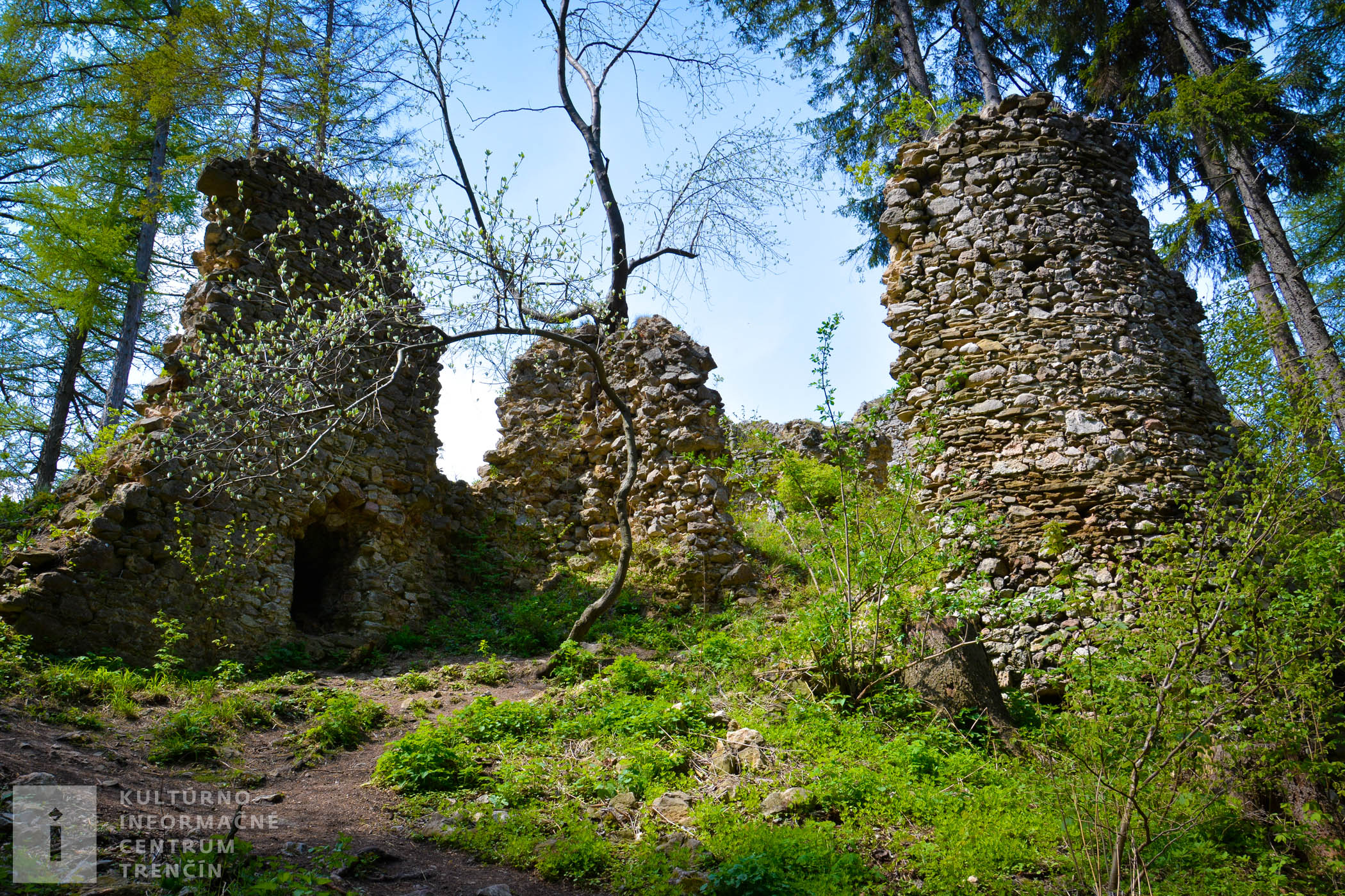 Ruiny hradu Vršatec/Vršatec Castle ruins