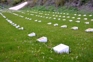 Obnovené hroby na vojenskom cintoríne.