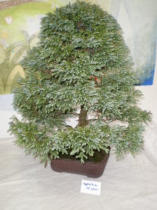 event-image